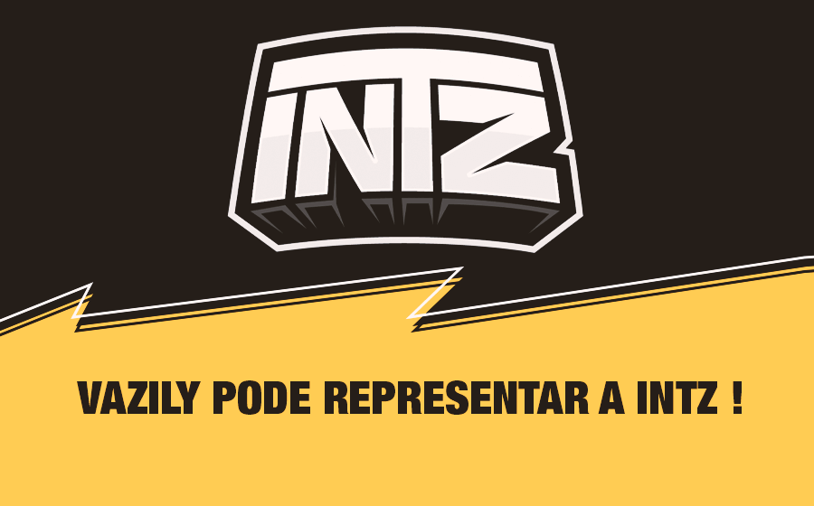 Vazily-reforca-intz