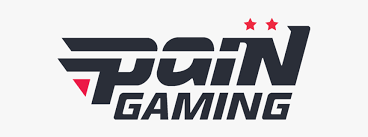 PaiN Gaming Anunciou Sua Nova Line de Free Fire