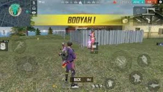 free fire raiz