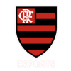 Flamengo-B4-250×250 Flamengo-B4-250x250